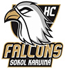 HC Falcons Karviná